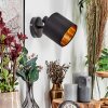 Alsen Lampa ścienna, Spot ścienny Czarny, 1-punktowy