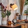 Bassagoda Lampa ścienna, Spot ścienny Czarny, 1-punktowy