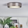 Tavin Lampa sufitowa LED Nikiel matowy, 1-punktowy