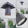 Udena Lampa sufitowa LED Czarny, 1-punktowy
