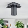Udena Lampa sufitowa LED Czarny, 1-punktowy