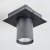 Udena Lampa sufitowa LED Czarny, 1-punktowy