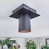 Udena Lampa sufitowa LED Czarny, 1-punktowy