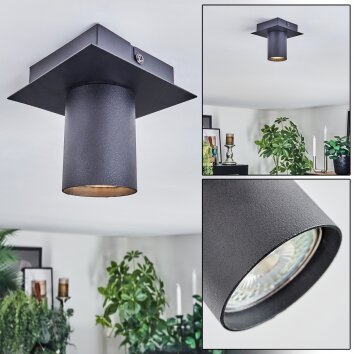 Udena Lampa sufitowa LED Czarny, 1-punktowy