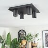 Udena Lampa sufitowa LED Czarny, 4-punktowe