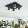 Udena Lampa sufitowa LED Czarny, 4-punktowe