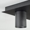 Udena Lampa sufitowa LED Czarny, 4-punktowe