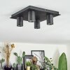 Udena Lampa sufitowa LED Czarny, 4-punktowe