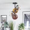 Koyoto lampa sufitowa, kula świetlna 31 cm złoty, przezroczysty, miedziany, przydymiony, 4-punktowe