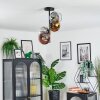 Koyoto lampa sufitowa, kula świetlna 31 cm złoty, przezroczysty, miedziany, przydymiony, 4-punktowe