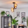Koyoto lampa sufitowa, kula świetlna 31 cm bursztynowy, przezroczysty, przydymiony, 4-punktowe