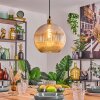 Koyoto Lampa wisząca, Kula świetlna, Lampa wisząca Złoty, 1-punktowy Koyoto Lampa wisząca, Kula świetlna, Lampa wisząca Złoty, 1-punktowy
