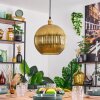 Koyoto lampa wisząca, kula świetlna, lampa wisząca złoty, 1-punktowy