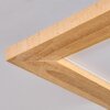Belan lampa sufitowa, panel LED kolory naturalne, biały, 1-punktowy