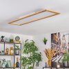 Belan lampa sufitowa, panel LED kolory naturalne, biały, 1-punktowy