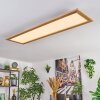 Belan lampa sufitowa, panel LED kolory naturalne, biały, 1-punktowy
