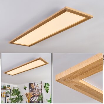 Belan lampa sufitowa, panel LED kolory naturalne, biały, 1-punktowy
