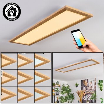 Belan lampa sufitowa, panel LED kolory naturalne, biały, 1-punktowy