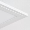 Belan Lampa sufitowa, Panel LED Biały, 1-punktowy