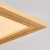 Belan Lampa sufitowa, Panel LED Ecru, Biały, 1-punktowy, Zdalne sterowanie