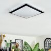 Castasegna Lampa sufitowa, Panel LED Czarny, Biały, 1-punktowy