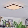 Castasegna Lampa sufitowa, Panel LED Czarny, Biały, 1-punktowy