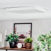 Finsrud Lampa sufitowa, Panel LED Biały, 1-punktowy