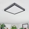 Finsrud Lampa sufitowa, Panel LED Czarny, 1-punktowy