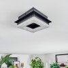 Walon Lampa sufitowa LED Czarny, 1-punktowy