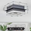 Walon Lampa sufitowa LED Czarny, 1-punktowy