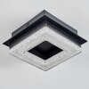 Walon Lampa sufitowa LED Czarny, 1-punktowy