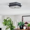 Walon Lampa sufitowa LED Czarny, 1-punktowy