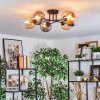 Gastor lampa sufitowa, kula świetlna bursztynowy, przezroczysty, przydymiony, 6-punktowe