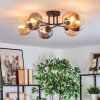 Gastor lampa sufitowa, kula świetlna bursztynowy, przezroczysty, przydymiony, 6-punktowe