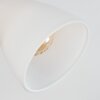 Mirlo Lampa sufitowa, Spot sufitowy Chrom, Nikiel matowy, 3-punktowe