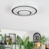 Borin Lampa sufitowa LED Szary, Biały, 1-punktowy