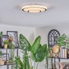 Borin Lampa sufitowa LED Szary, Biały, 1-punktowy