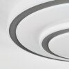 Borin Lampa sufitowa LED Szary, Biały, 1-punktowy