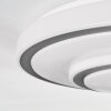 Borin Lampa sufitowa LED Szary, Biały, 1-punktowy
