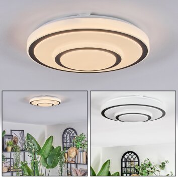 Borin Lampa sufitowa LED Szary, Biały, 1-punktowy