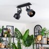 Tylar Lampa sufitowa, Spot sufitowy Czarny, 2-punktowe