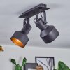 Tylar Lampa sufitowa, Spot sufitowy Czarny, 2-punktowe