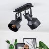 Tylar Lampa sufitowa, Spot sufitowy Czarny, 2-punktowe