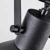 Tylar Lampa sufitowa, Spot sufitowy Czarny, 2-punktowe