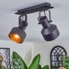 Tylar Lampa sufitowa, Spot sufitowy Czarny, 2-punktowe