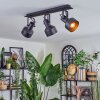 Tylar Lampa sufitowa, Spot sufitowy Czarny, 3-punktowe