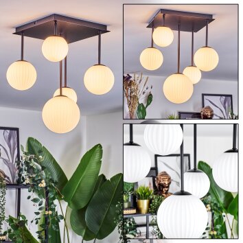 Chehalis Lampa sufitowa, Kula świetlna Biały, 5-punktowe Chehalis Lampa sufitowa, Kula świetlna Biały, 5-punktowe