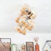 Koyoto lampa sufitowa, kula świetlna złoty, czarny, 8-punktowe