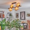 Koyoto lampa sufitowa, kula świetlna złoty, czarny, 8-punktowe