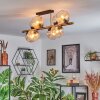 Koyoto lampa sufitowa, kula świetlna złoty, czarny, 8-punktowe